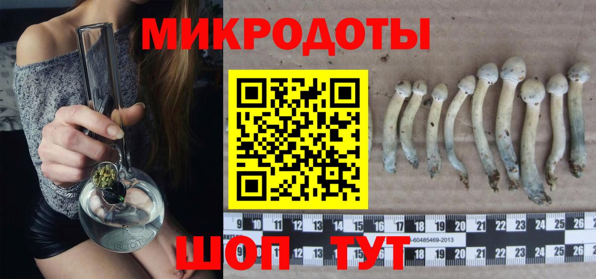 Псилоцибиновые грибы Magic Shrooms Чусовой