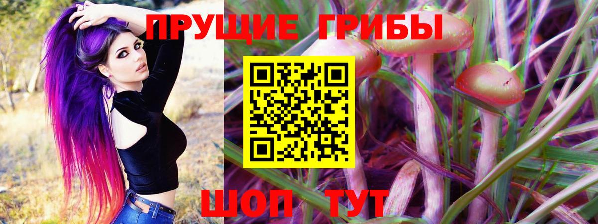 Чусовой  Псилоцибиновые грибы Psilocybe  Вход с VPN 